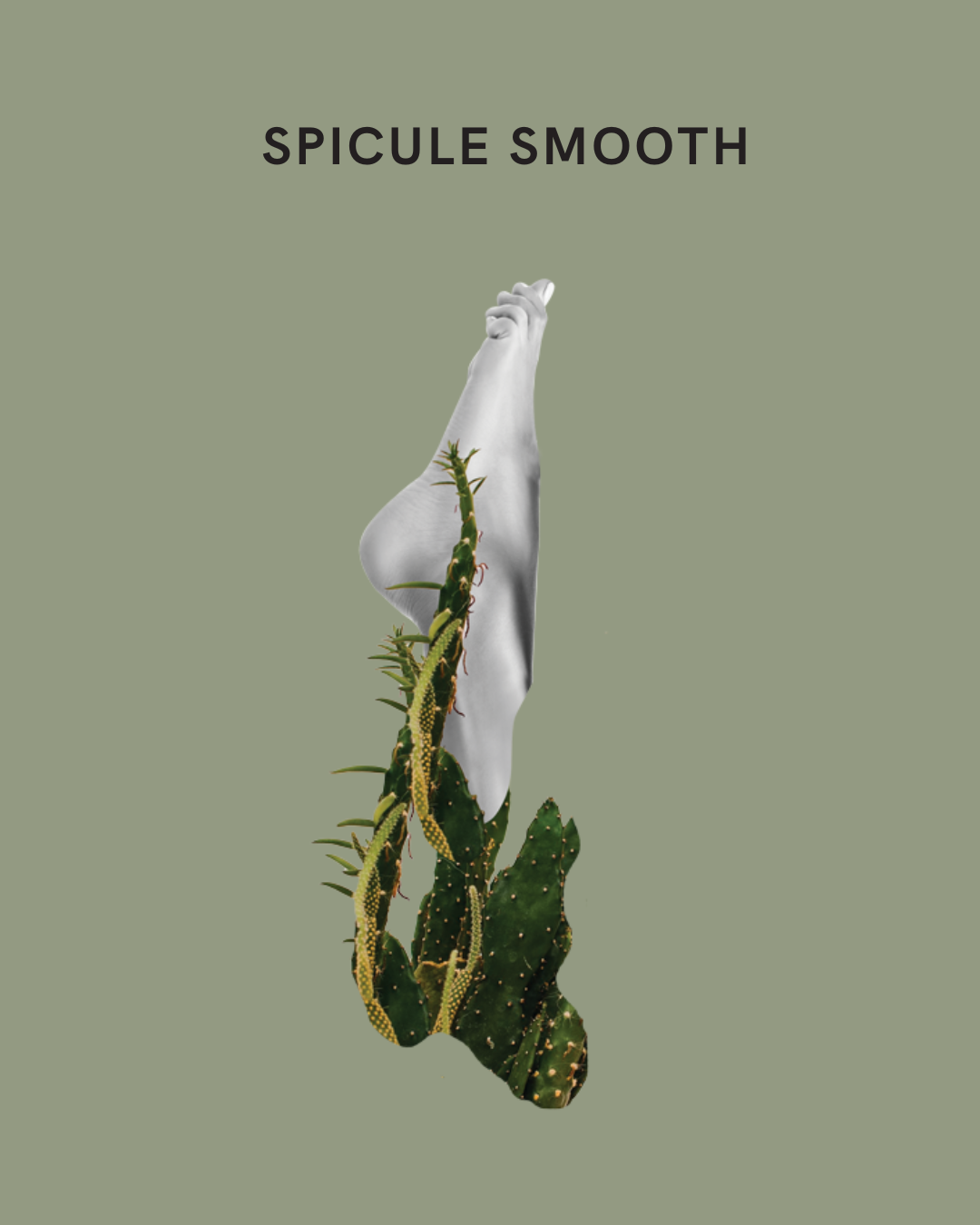Spicule Smooth