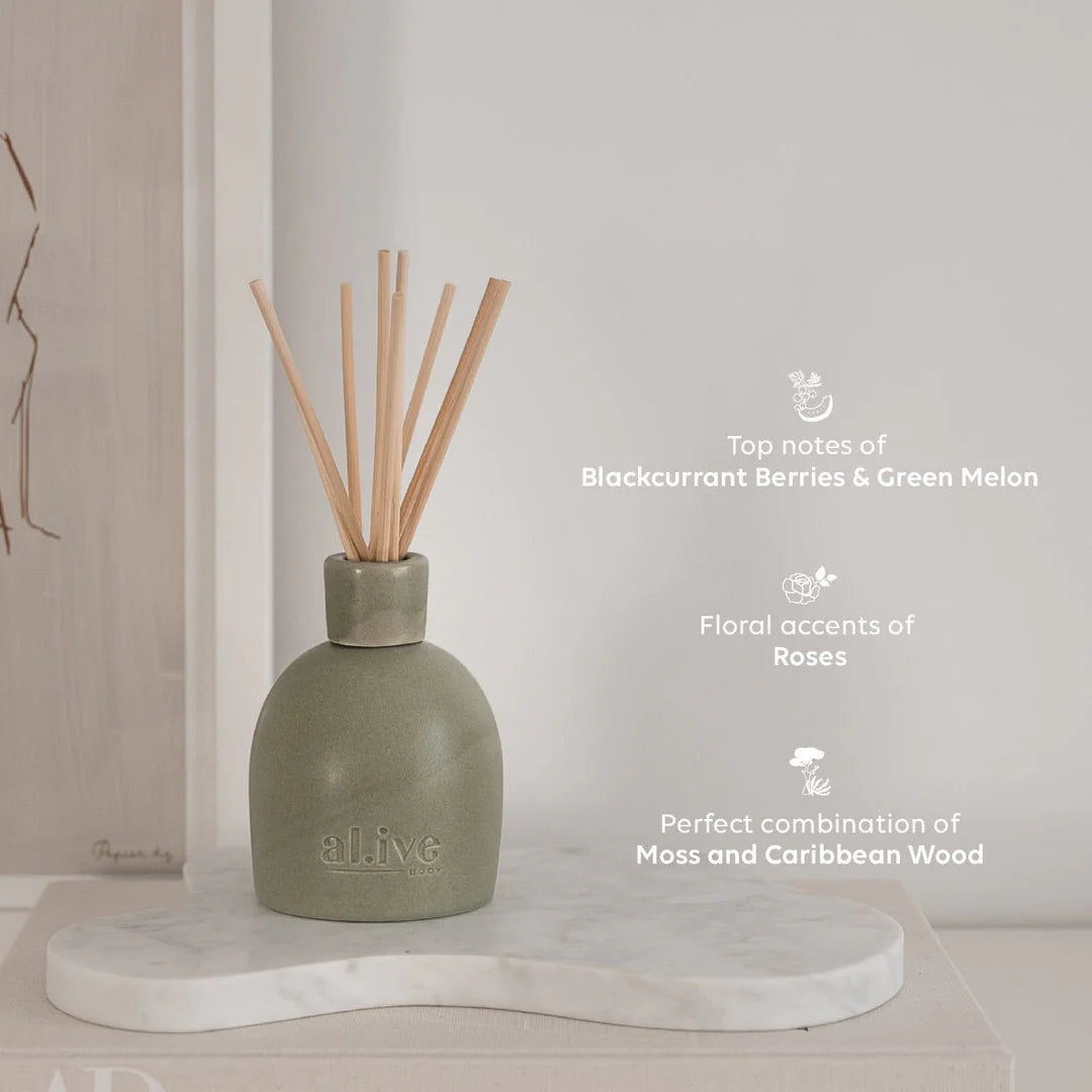 Ceramic Diffuser